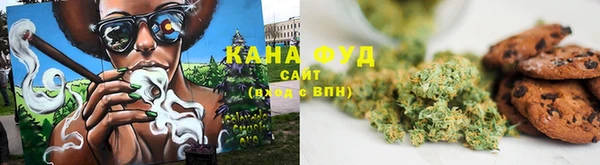 МДПВ Каменногорск