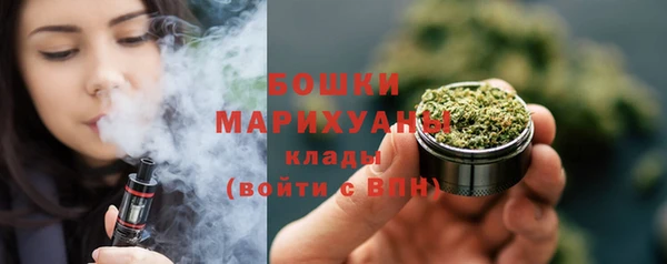 МДПВ Каменногорск