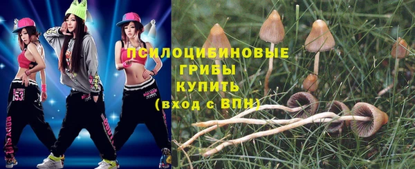 эйфоретик Каменка