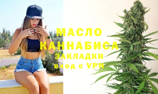 МДПВ Каменногорск