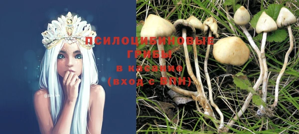 МДПВ Каменногорск