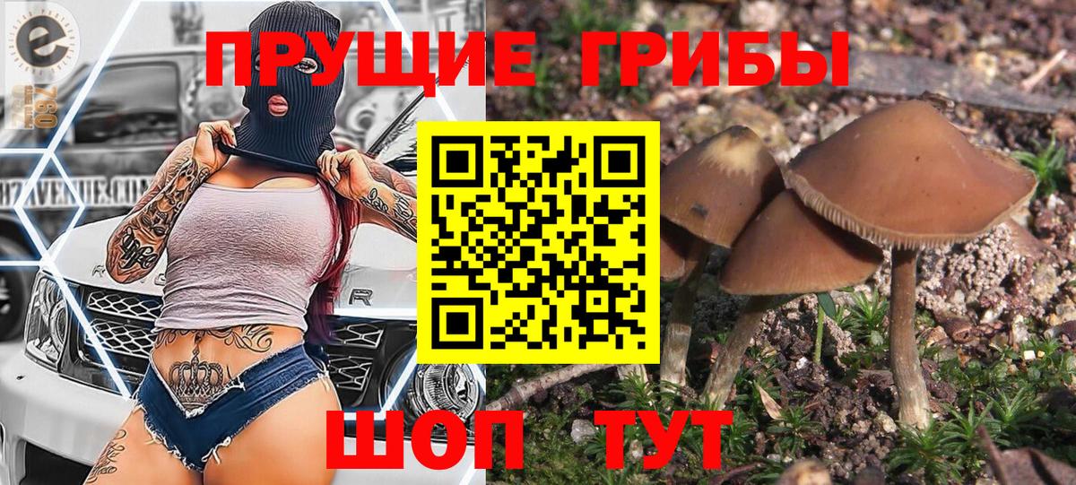 Галлюциногенные грибы прущие грибы Курган