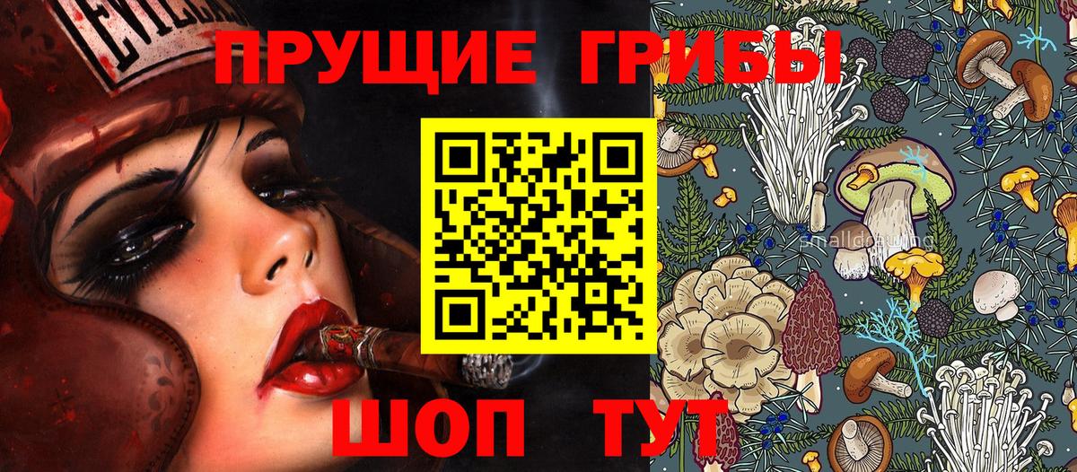 Псилоцибиновые грибы мицелий  Вход с VPN  Курган 